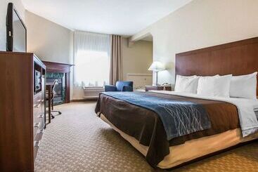 酒店 Quality Inn & Suites Dixon Near I88