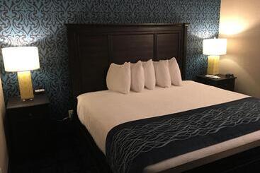 住宿加早餐  Riverside Inn Hannibal
