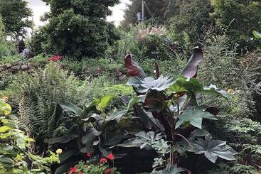 Birdsong Cottage Bed And Breakfast