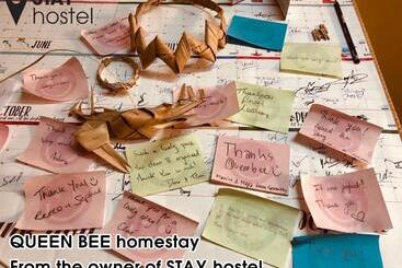 Stay Hostel   300m From The Ferry