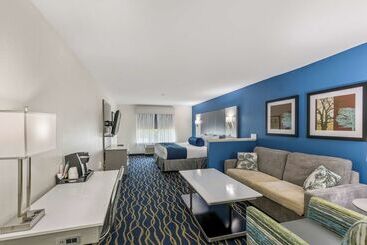 Best Western Plus Lake Lanier Gainesville Hotel & Suites