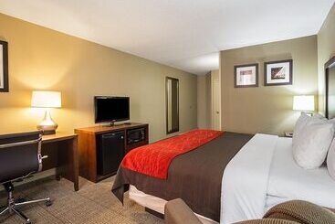 هتل Comfort Inn Downtown
