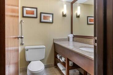 هتل Comfort Inn Grand Rapids Airport