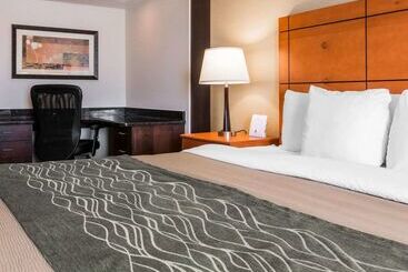 هتل Comfort Inn Metro Airport