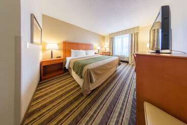هتل Comfort Inn Metro Airport