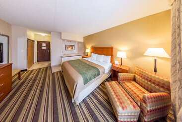 هتل Comfort Inn Metro Airport