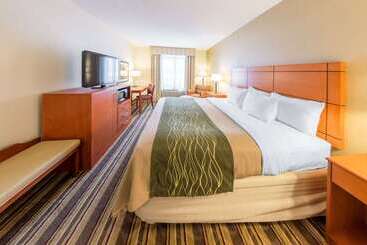 هتل Comfort Inn Metro Airport