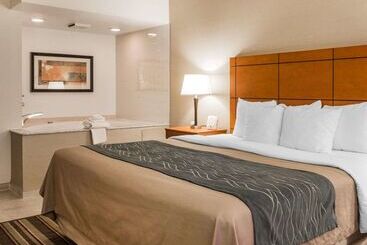 هتل Comfort Inn Metro Airport
