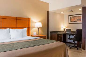 هتل Comfort Inn Metro Airport