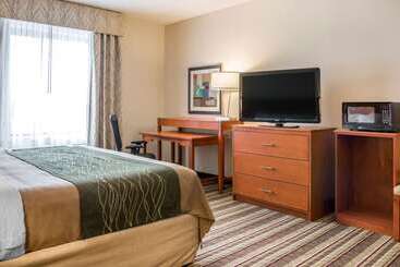 هتل Comfort Inn Metro Airport