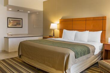 هتل Comfort Inn Metro Airport
