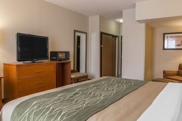 هتل Comfort Inn Metro Airport