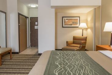 هتل Comfort Inn Metro Airport