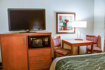 هتل Comfort Inn Metro Airport