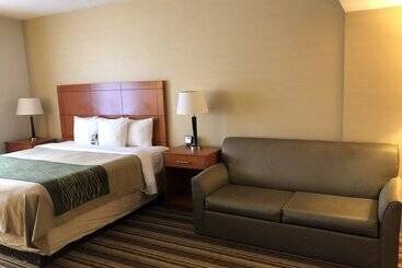 هتل Comfort Inn Metro Airport
