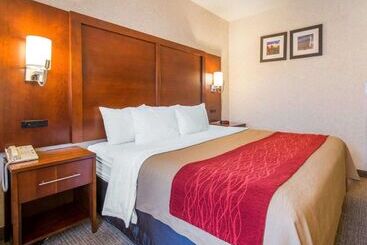 هتل Comfort Inn North  Air Force Academy Area