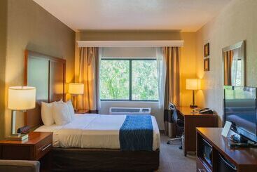 هتل Comfort Inn North  Air Force Academy Area