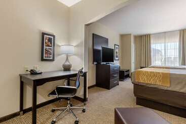 هتل Comfort Inn & Suites North Little Rock Mccain Mall
