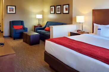 هتل Comfort Inn & Suites Tempe Phoenix Sky Harbor Airport