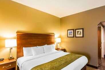 ホテル Comfort Suites Cookeville