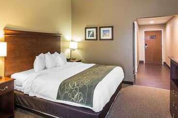 ホテル Comfort Suites Cookeville