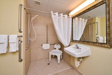 هتل Duluth Inn & Suites Near Spirit Mountain