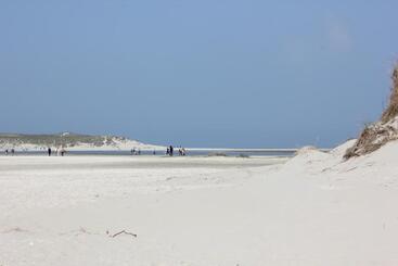 민박 Bluesheep Texel