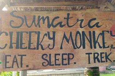 پانسیون Sumatra Cheeky Monkeys