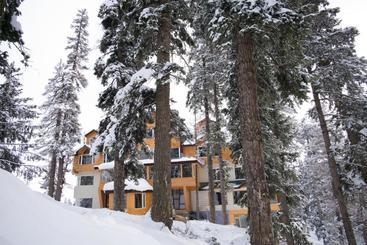 هتل The Rosewood