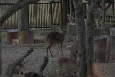 هتل Mon Repos Guest Farm