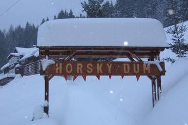 膳宿费 Horský Dům