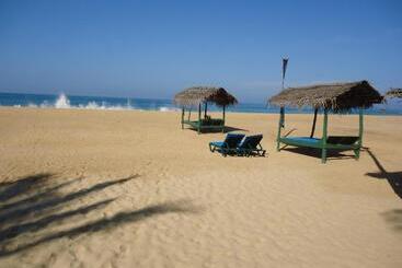 پانسیون Whitepearl Beach
