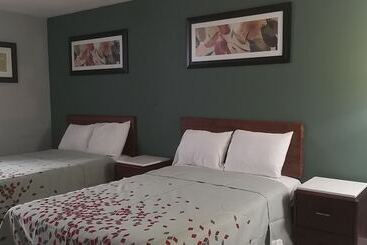 酒店 American Value Inn