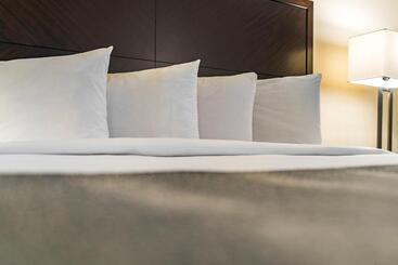 酒店 Chase Suite  El Paso