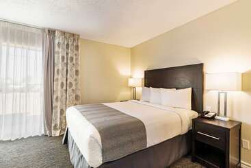 酒店 Chase Suite  El Paso