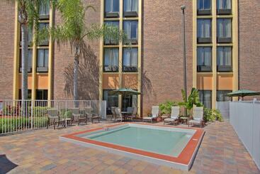 هتل Comfort Inn & Suites Kissimmee By The Parks