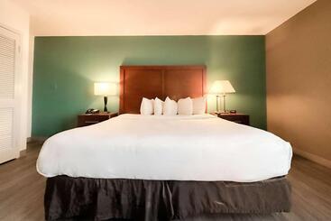 هتل Comfort Inn & Suites Kissimmee By The Parks