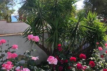 تختخواب و صبحانه Villa Tropical