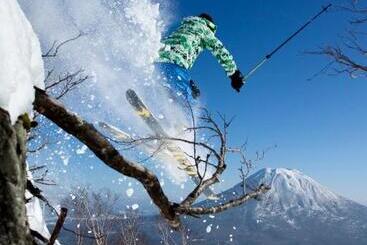 هتل Park Hyatt Niseko Hanazono