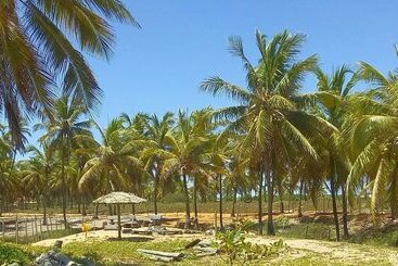 Отель Cabanas Blue