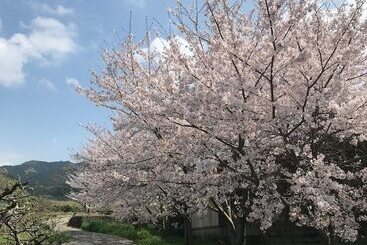 پانسیون Yamanobenomichi Teku Teku
