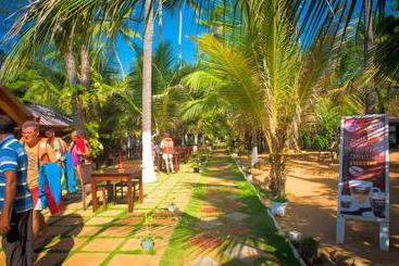 هتل Coconut Beach Lodge