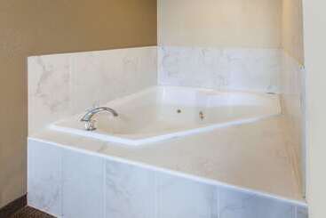 هتل Baymont By Wyndham Downtown Detroit