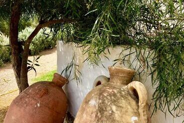 پانسیون Domaine El Manar