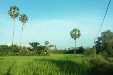 پانسیون Sok Phen Homestay