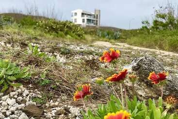 پانسیون Shili Cactus B&b