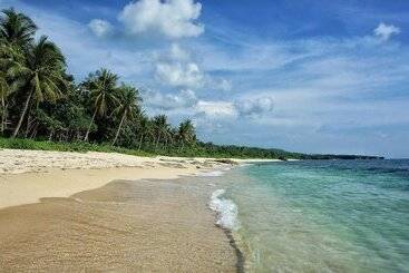 پانسیون Veue Beach Cabins