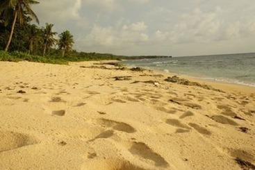 پانسیون Veue Beach Cabins