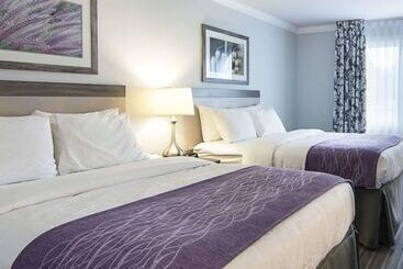 هتل Comfort Inn Williamsburg Gateway