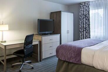 هتل Comfort Inn Williamsburg Gateway